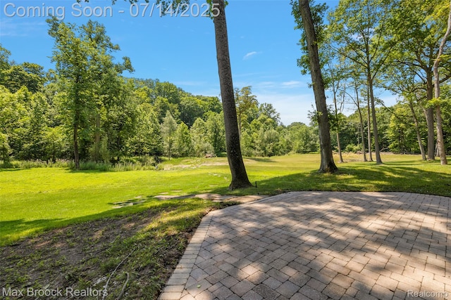 7420 Inner Circle Dr, Bloomfield Hills, MI 48301 - view of patio