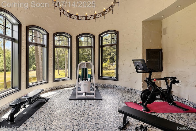 7420 Inner Circle Dr, Bloomfield Hills, MI 48301 - exercise room featuring healthy amount of natural light and a textured wall