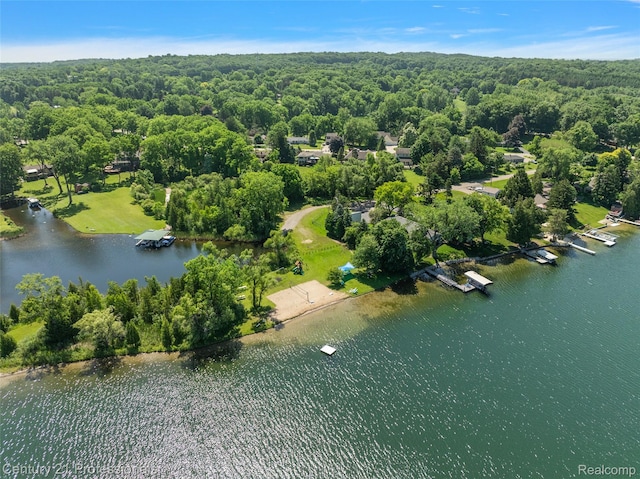 9311 Whipple Shores Dr, Clarkston, MI 48348 - photo 31