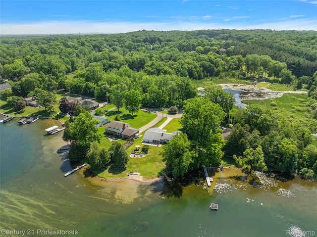 9311 Whipple Shores Dr, Clarkston, MI 48348 - photo 34