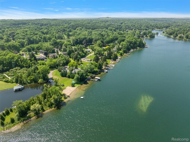 9311 Whipple Shores Dr, Clarkston, MI 48348 - photo 30