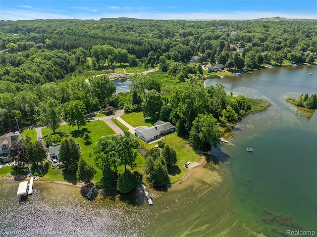 9311 Whipple Shores Dr, Clarkston, MI 48348 - photo 32