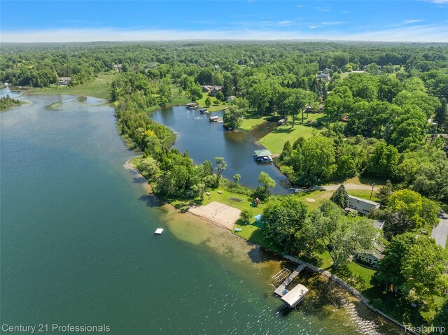 9311 Whipple Shores Dr, Clarkston, MI 48348 - photo 29