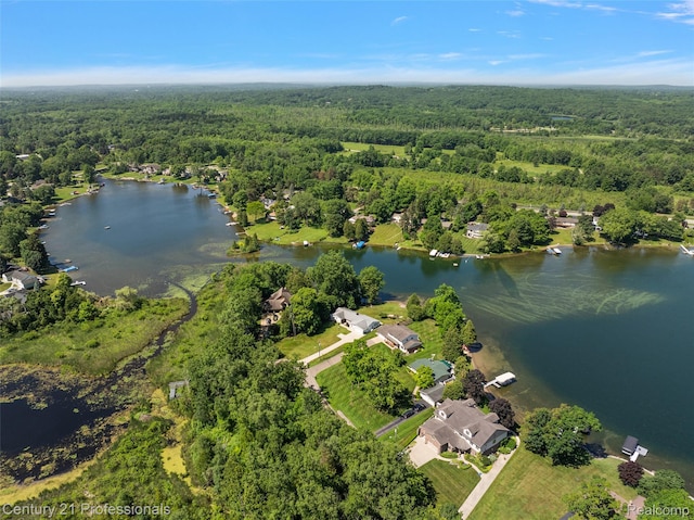9311 Whipple Shores Dr, Clarkston, MI 48348 - photo 39