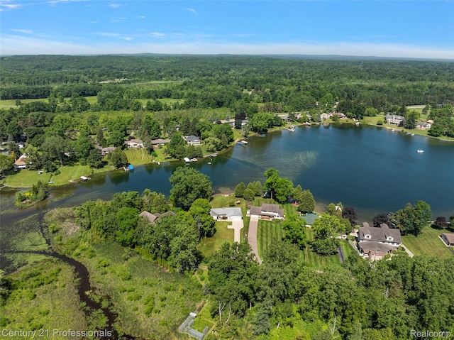 9311 Whipple Shores Dr, Clarkston, MI 48348 - photo 38