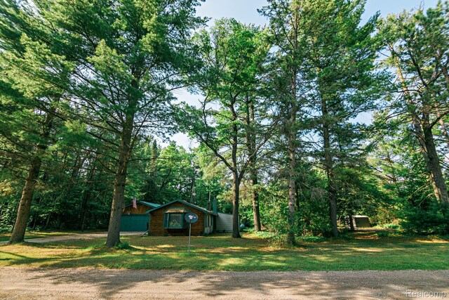4176 Kings Corner Rd, Glennie, MI 48737 - view of grassy yard