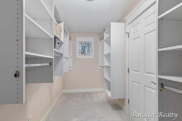 8790 Laurel Ridge Dr SE, Alto, MI 49302 - spacious closet with carpet floors