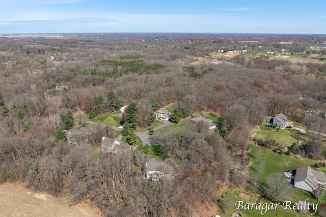 8790 Laurel Ridge Dr SE, Alto, MI 49302 - aerial view of property's location