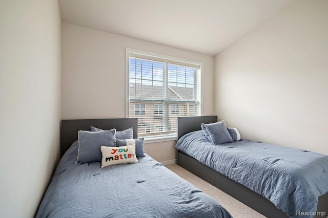 2855 Hardwick Rd, Ann Arbor, MI 48105 - bedroom with carpet and vaulted ceiling