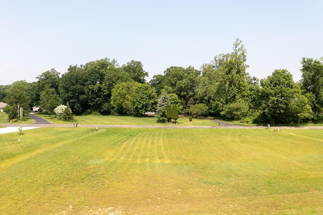 14170 Spring Valley Ct, Niles, MI 49120 - view of community featuring a yard and view of wooded area