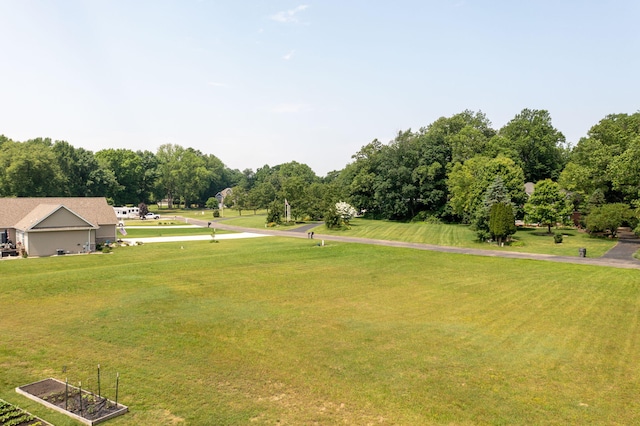 14170 Spring Valley Ct, Niles, MI 49120 - view of grassy yard with view of wooded area