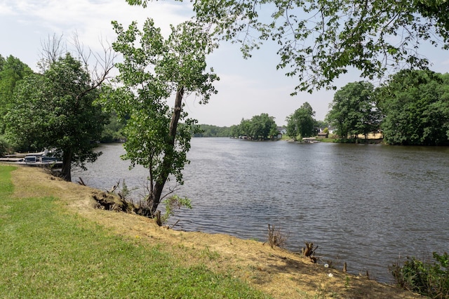14170 Spring Valley Ct, Niles, MI 49120 - water view