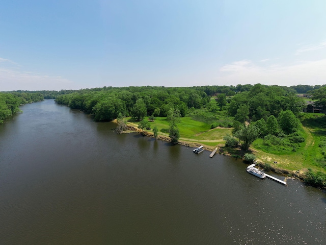 14170 Spring Valley Ct, Niles, MI 49120 - drone / aerial view of a large body of water