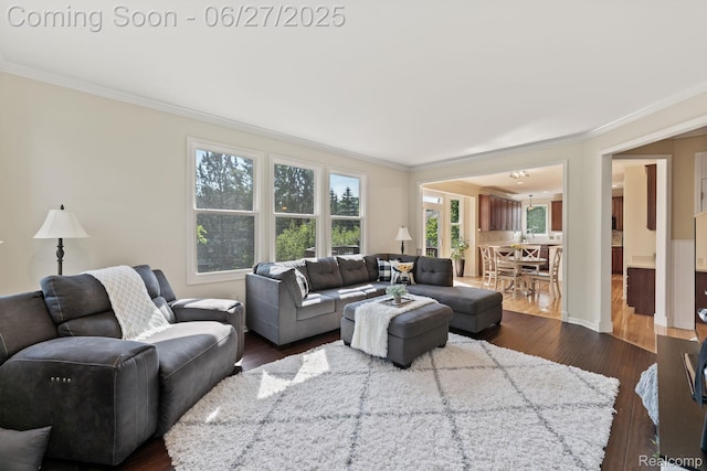 6060 Balmoral Way, Commerce Twp, MI 48382 - living room with ornamental molding and dark wood finished floors