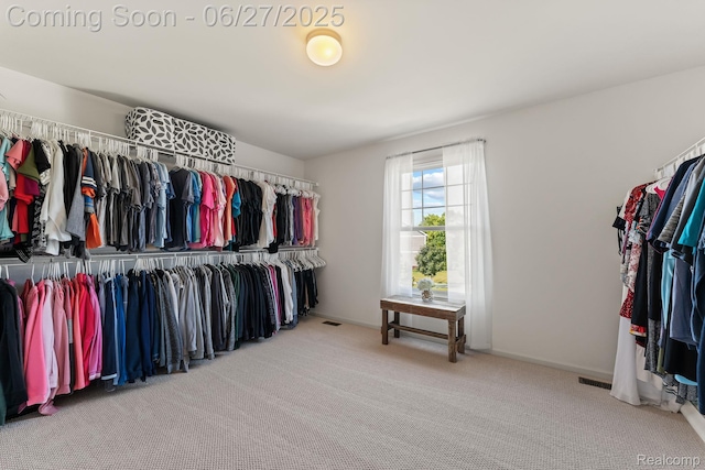 6060 Balmoral Way, Commerce Twp, MI 48382 - spacious closet featuring carpet