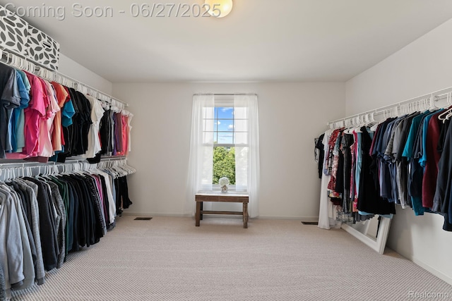 6060 Balmoral Way, Commerce Twp, MI 48382 - walk in closet with carpet