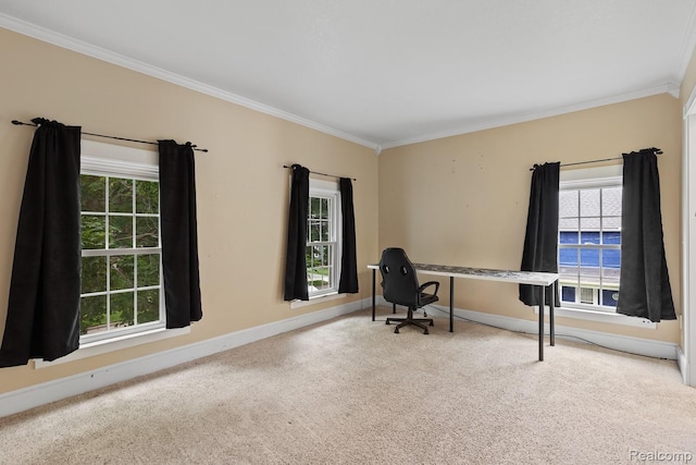830 College Ave, Adrian, MI 49221 - carpeted office space featuring crown molding and healthy amount of natural light