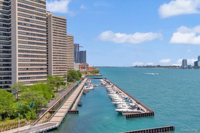 1001 W Jefferson Ave Unit 28E, Detroit, MI 48226 - water view with nearby urban area