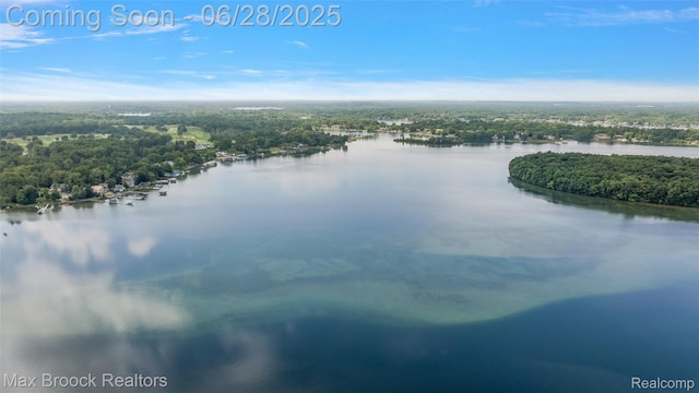 4848 Willow Ln, Orchard Lake, MI 48324 - bird's eye view of a nearby body of water and a heavily wooded area