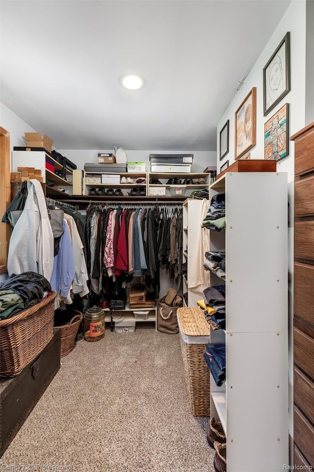 9601 Kier Rd, Holly, MI 48442 - view of walk in closet
