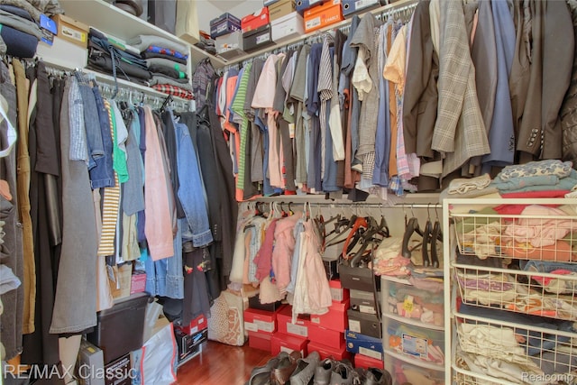 761 Nissen Ct, Wixom, MI 48393 - walk in closet with wood finished floors