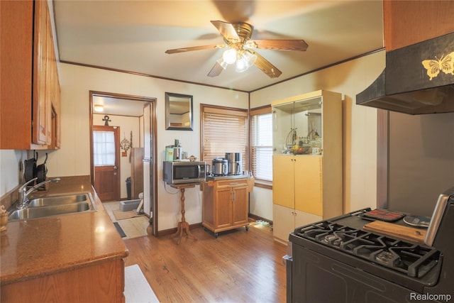520 E Hudson Ave, Madison Heights, MI 48071 - photo 5