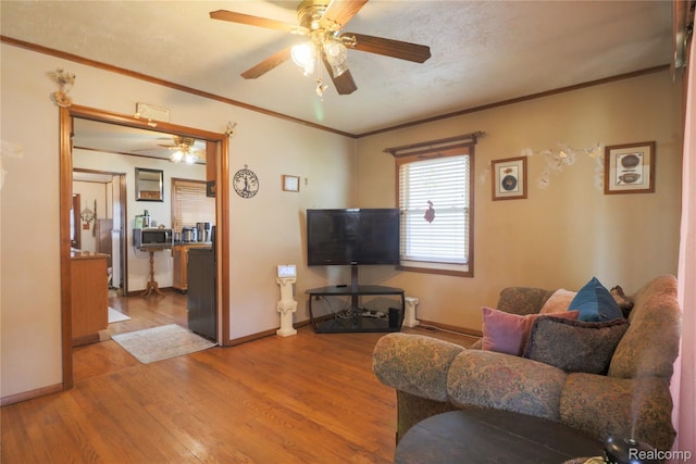 520 E Hudson Ave, Madison Heights, MI 48071 - photo 4