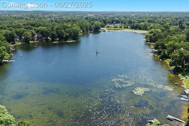 1500 Clark Lake Rd, Brighton, MI 48114 - bird's eye view of a heavily wooded area and a large body of water