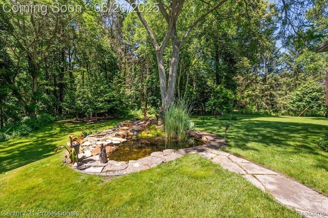 451 Markwood Dr, Oxford, MI 48370 - photo 43