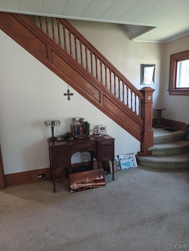 526 Comstock St, Adrian, MI 49221 - staircase with carpet floors and baseboards