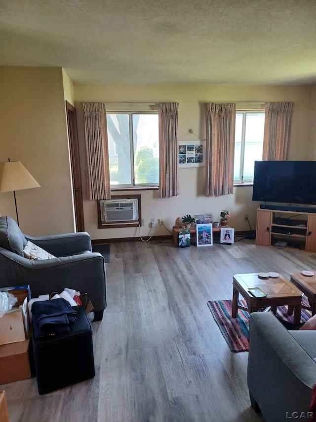 526 Comstock St, Adrian, MI 49221 - living area featuring an AC wall unit, wood finished floors, and plenty of natural light