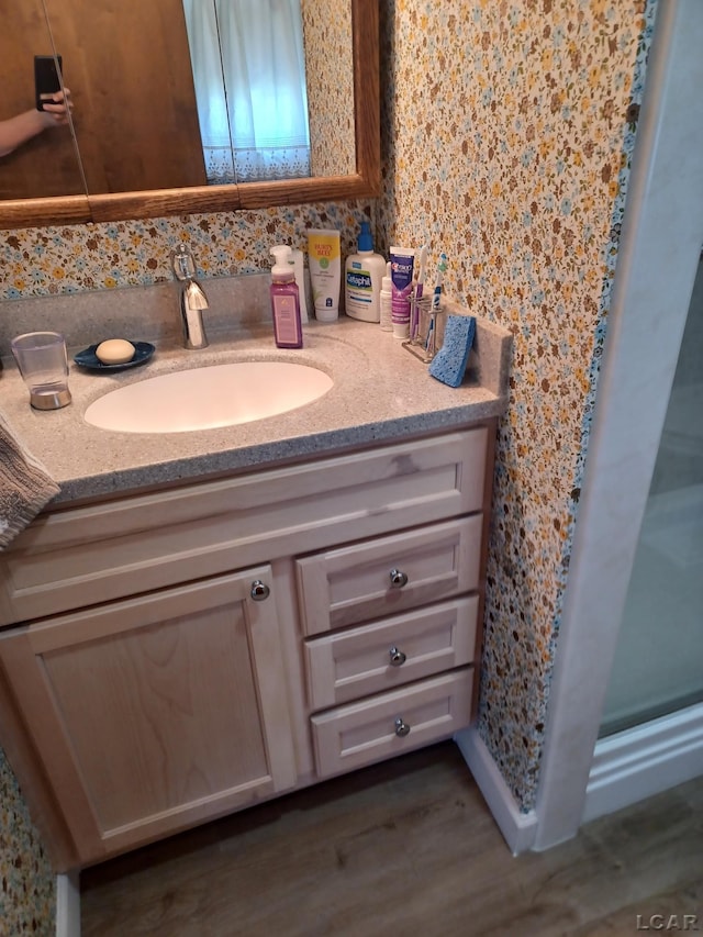 526 Comstock St, Adrian, MI 49221 - bathroom with vanity and wood finished floors