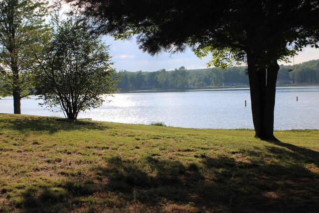 Snowridge Trl, Elmira, MI 49730