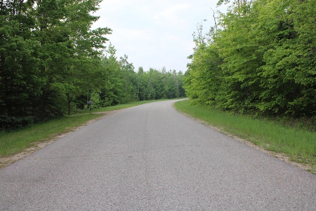Snowridge Trl, Elmira, MI 49730