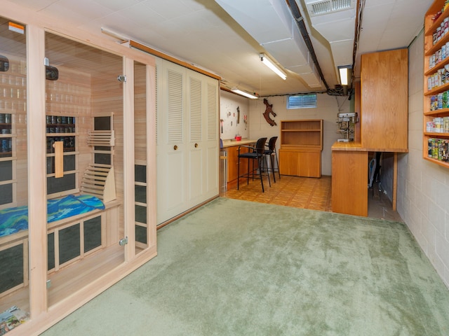 2805 Winchell Ave, Kalamazoo, MI 49008 - finished basement with carpet floors