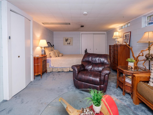 2805 Winchell Ave, Kalamazoo, MI 49008 - carpeted bedroom with concrete block wall and a closet