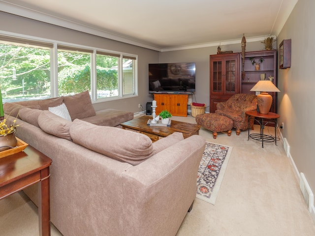 2805 Winchell Ave, Kalamazoo, MI 49008 - living room featuring carpet and ornamental molding