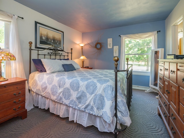 2805 Winchell Ave, Kalamazoo, MI 49008 - bedroom with dark colored carpet and multiple windows