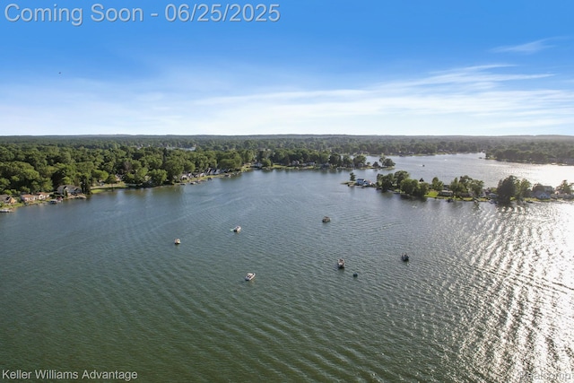 4253 Hunters Dr, Highland, MI 48356 - photo 42