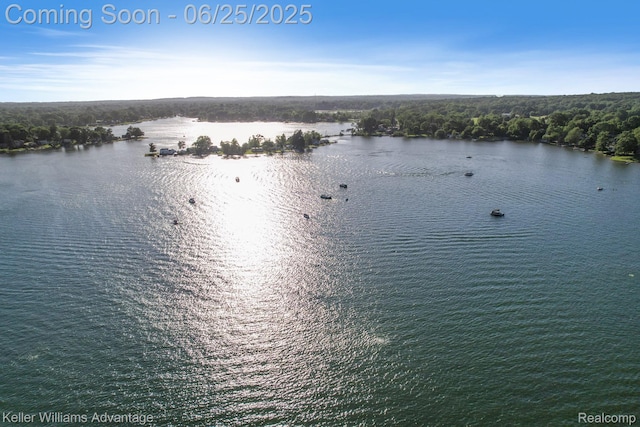 4253 Hunters Dr, Highland, MI 48356 - photo 44