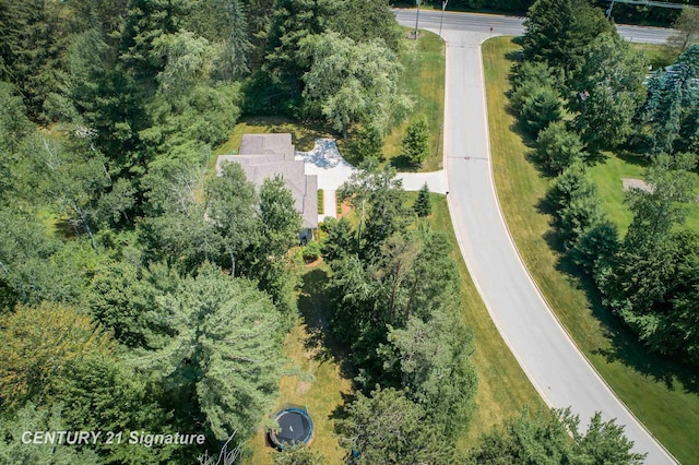 2985 E Iron Woods Pass, Midland, MI 48642 - aerial view