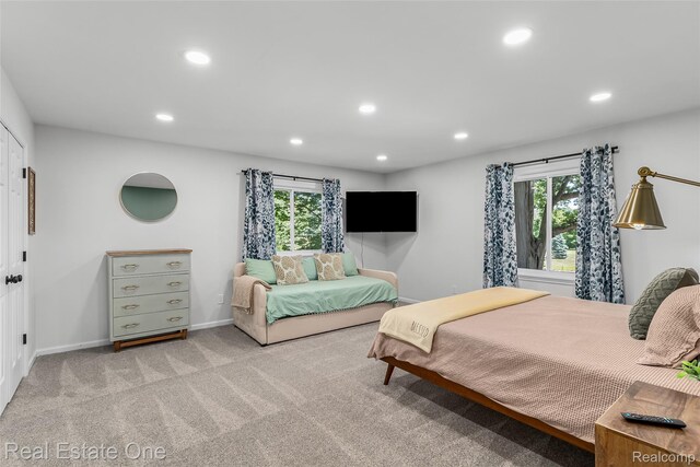396 Hickory Ln, Lapeer, MI 48446 - photo 36
