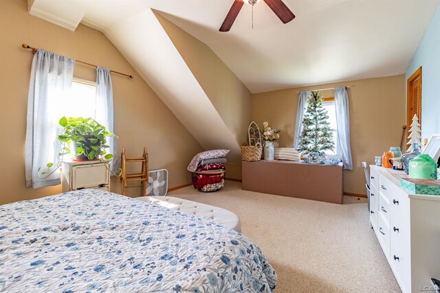 1103 Petoskey Ct, Adrian, MI 49221 - photo 22