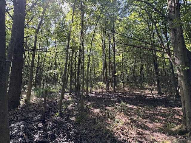 N Gleaner Rd, Saginaw, MI 48609 - photo 3