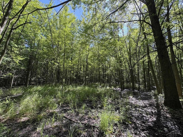 N Gleaner Rd, Saginaw, MI 48609 - photo 4