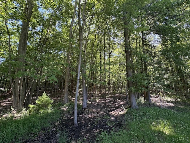 N Gleaner Rd, Saginaw, MI 48609 - photo 5