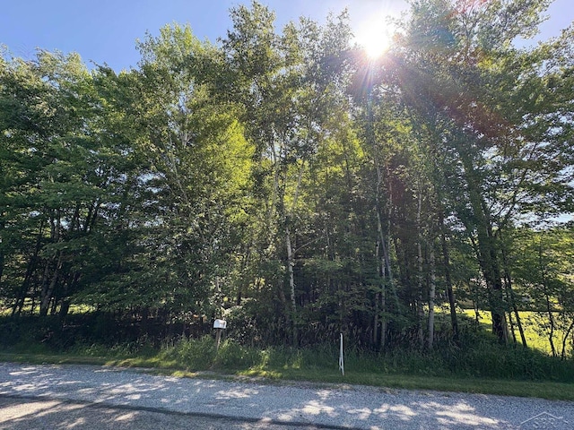 N Gleaner Rd, Saginaw, MI 48609 - photo 1