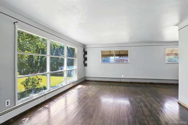 45411 Sterritt St, Utica, MI 48317 - unfurnished room with hardwood / wood-style floors and plenty of natural light