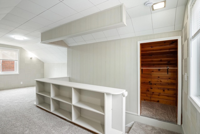 9250 Rosedale Blvd, Allen Park, MI 48101 - additional living space with carpet floors and vaulted ceiling
