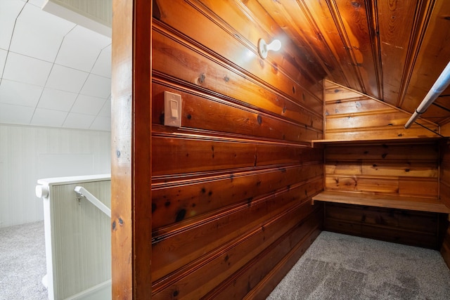 9250 Rosedale Blvd, Allen Park, MI 48101 - relaxing sauna with carpet floors and wood walls